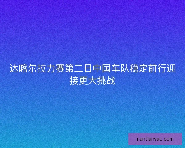 达喀尔拉力赛第二日中国车队稳定前行迎接更大挑战